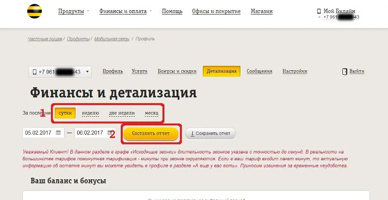Можно ли получить детализацию