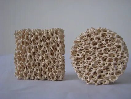 Сделанный из мелкопористой керамики 9 букв