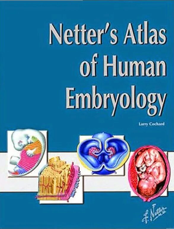 Atlas of human anatomy netter. Неттер эмбриология. атлас k.carter f. netter. human the life embryology book. netter&#039;s atlas of neuroscience davit filton.