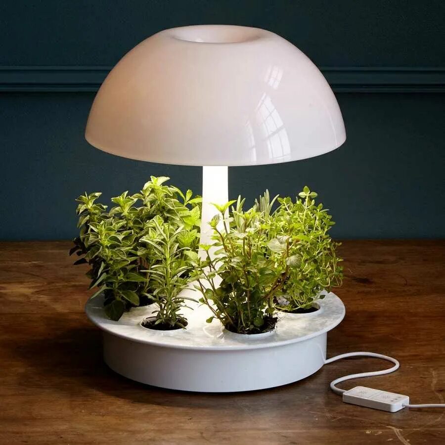 Освещение для растений. Лампа для растений. Светильник для комнатных растений. Светильник для цветов. Лампа для освещения цветов.