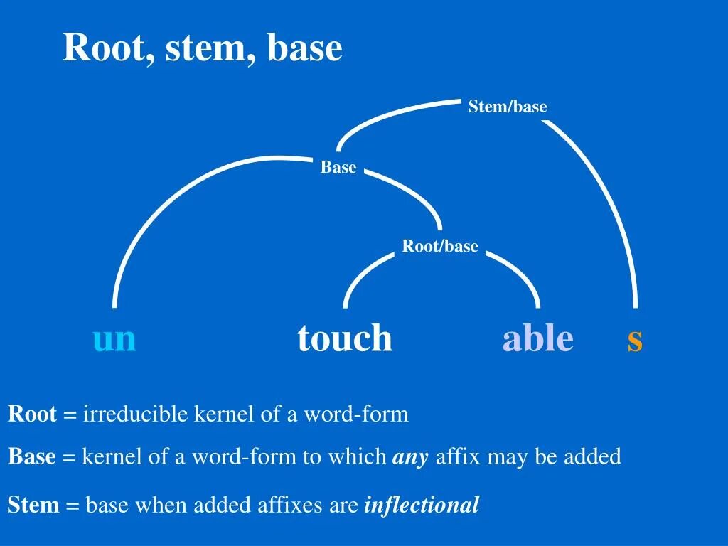 Base word meaning. Stem and root difference. stem a word. root base. root words.