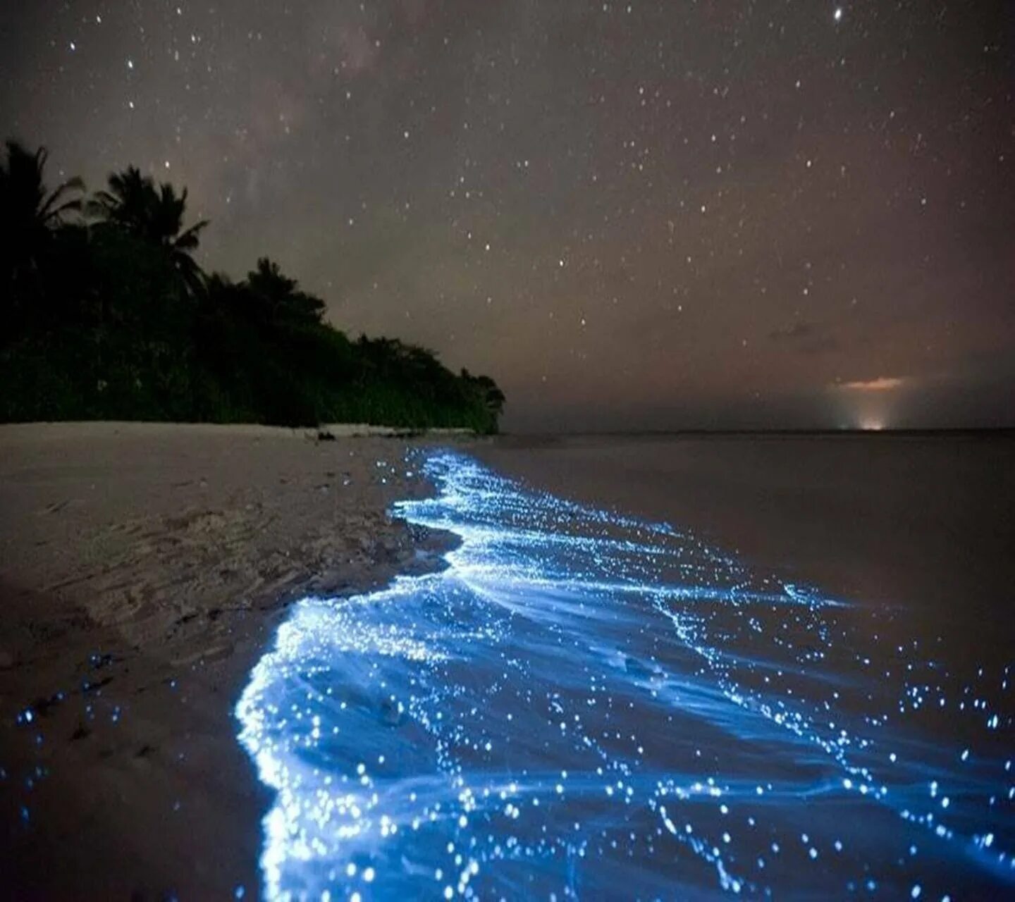 Песни свет в океане. Остров Ваадху. Остров Ваадху Мальдивы. Атолл Ваадху Мальдивы. Биолюминесцентный пляж Москито Бэй, Вьекес, Пуэрто-Рико.