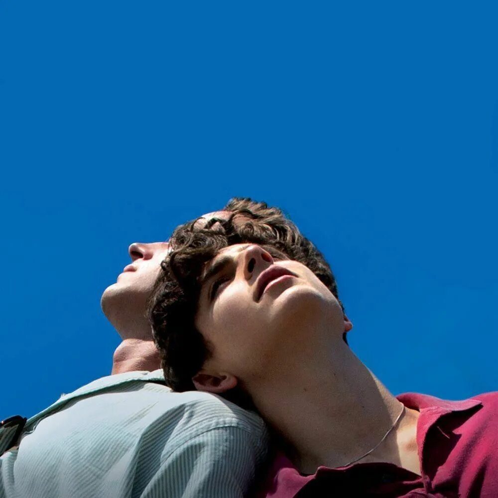 Call me karizma артист. Тимоти шаламе. Call me karizma девушка. Mystery of love sufjan stevens обложка. Морган пэрриотт певец.