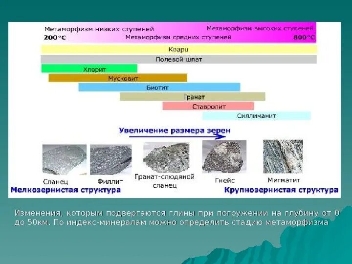 Региональный метаморфизм минералогический состав. Плотность метаморфических горных пород. Минералы метаморфических пород. Фации метаморфических пород. Метаморфические породы мел