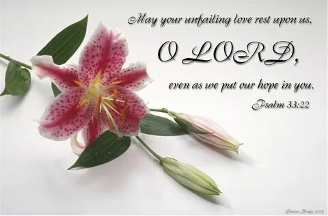 C 8 message