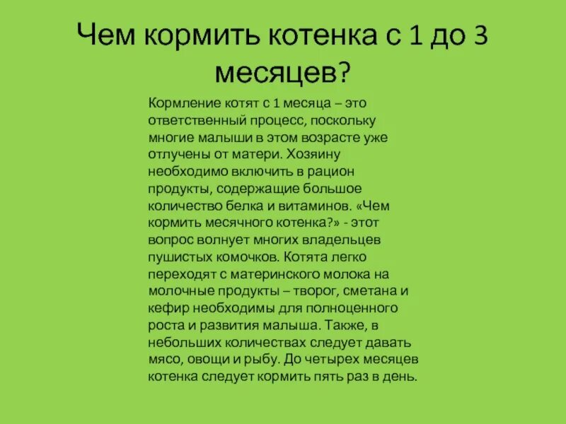 Сколько раз кормить котенка в 4 месяца. Как кормить котенка 1 5 месяца кормом. кормление котят 1.5 месячных. чем кормить котенка 1.5 месяца без кошки в домашних условиях. котенок 1 месяц чем кормить корм.