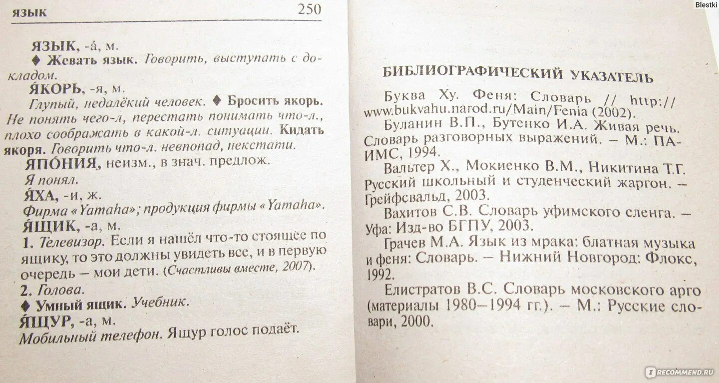 Феня жаргон словарь. Воровской жаргон словарь.