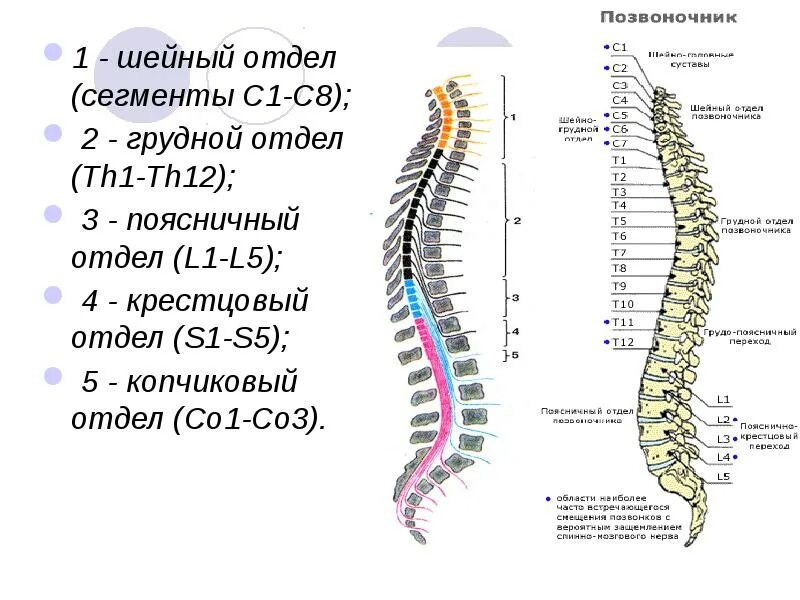 L 4 c 3