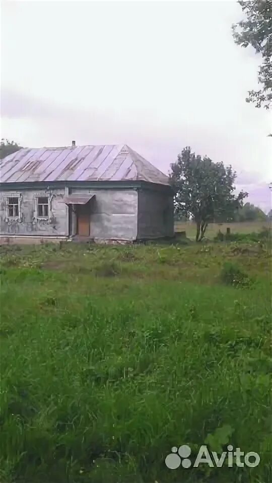 Старосеславино тамбовская. Старосеславино тамбовская. Озон старосеславино. Церковь михаила архангела в старосеславино. Больница старосеславино.