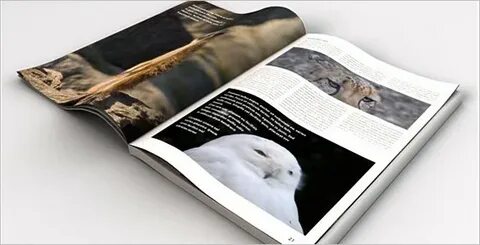 Magazine 3