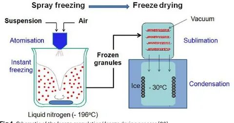 Freeze drying