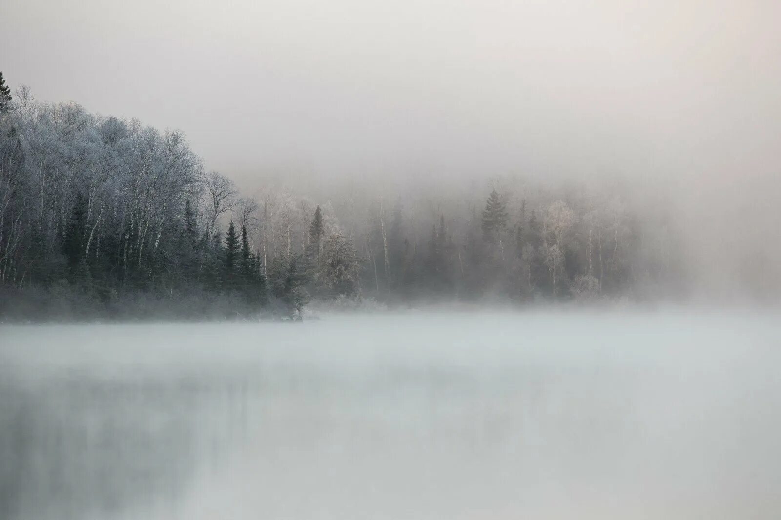 Словно пеленою. Турсунтский туман озеро. Снежная мгла. Зима туман. Озеро в тумане.