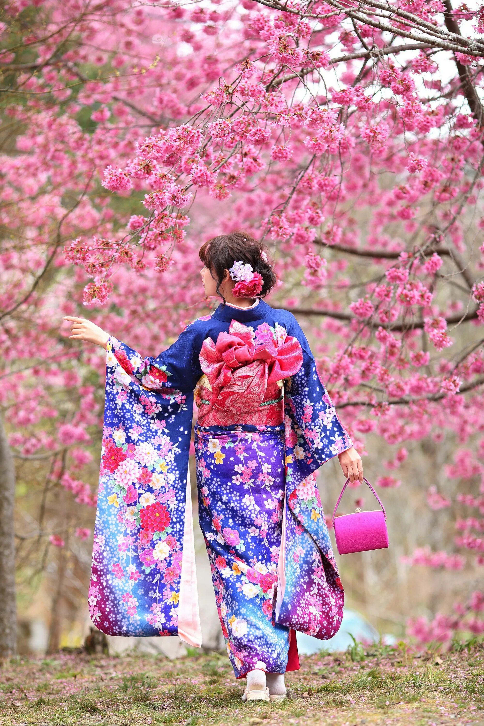 Одежда сакуры. Сакура в кимоно. Кимоно Сакура дзюдоги. Кимоно ги Сакура. Японские кимоно Сакура.