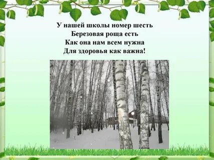 Как переводится с белорусского языка березовая роща