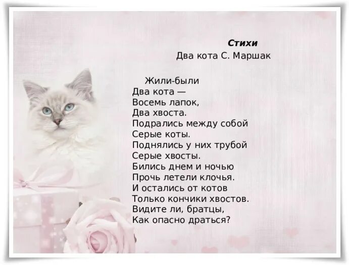 Текст песни у меня живет культурный кот. Маршак 2 кота стих. Стих про кота. Стих про кошку короткий. Два кота стих.