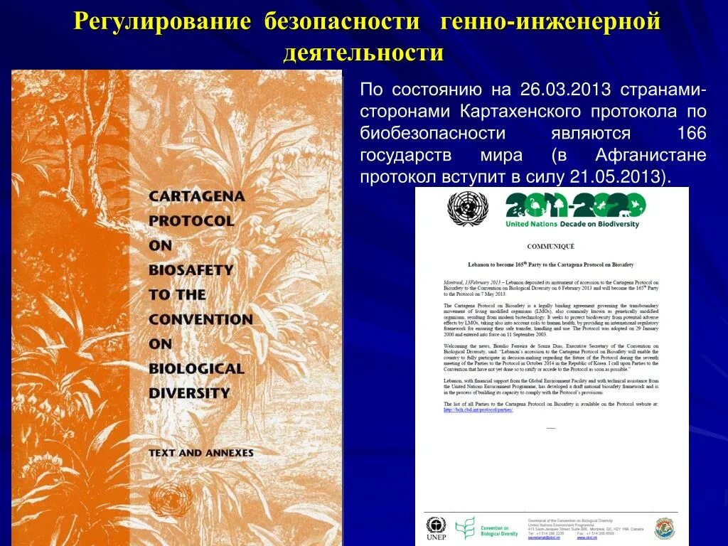 Картахенский протокол по биобезопасности 2000. Картагинский протокол. Картахенский протокол по биоразнообразие. Конвенция о биоразнообразии. Конвенция о биологическом разнообразии россия