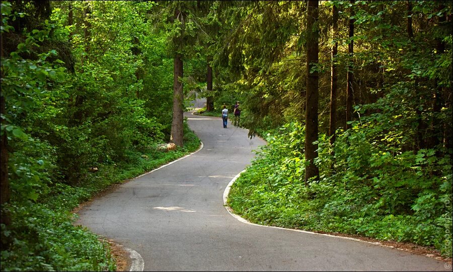 парк имени лазутиной в одинцово. парк имени ларисы лазутиной. спортивный парк ларисы лазутиной в одинцово. парк отдыха лазутиной в одинцово. парк имени ларисы лазутиной.