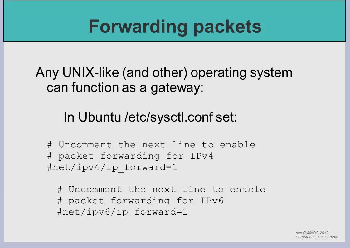 Net ipv4 ip forward