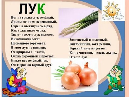 Как правильно пишется лук