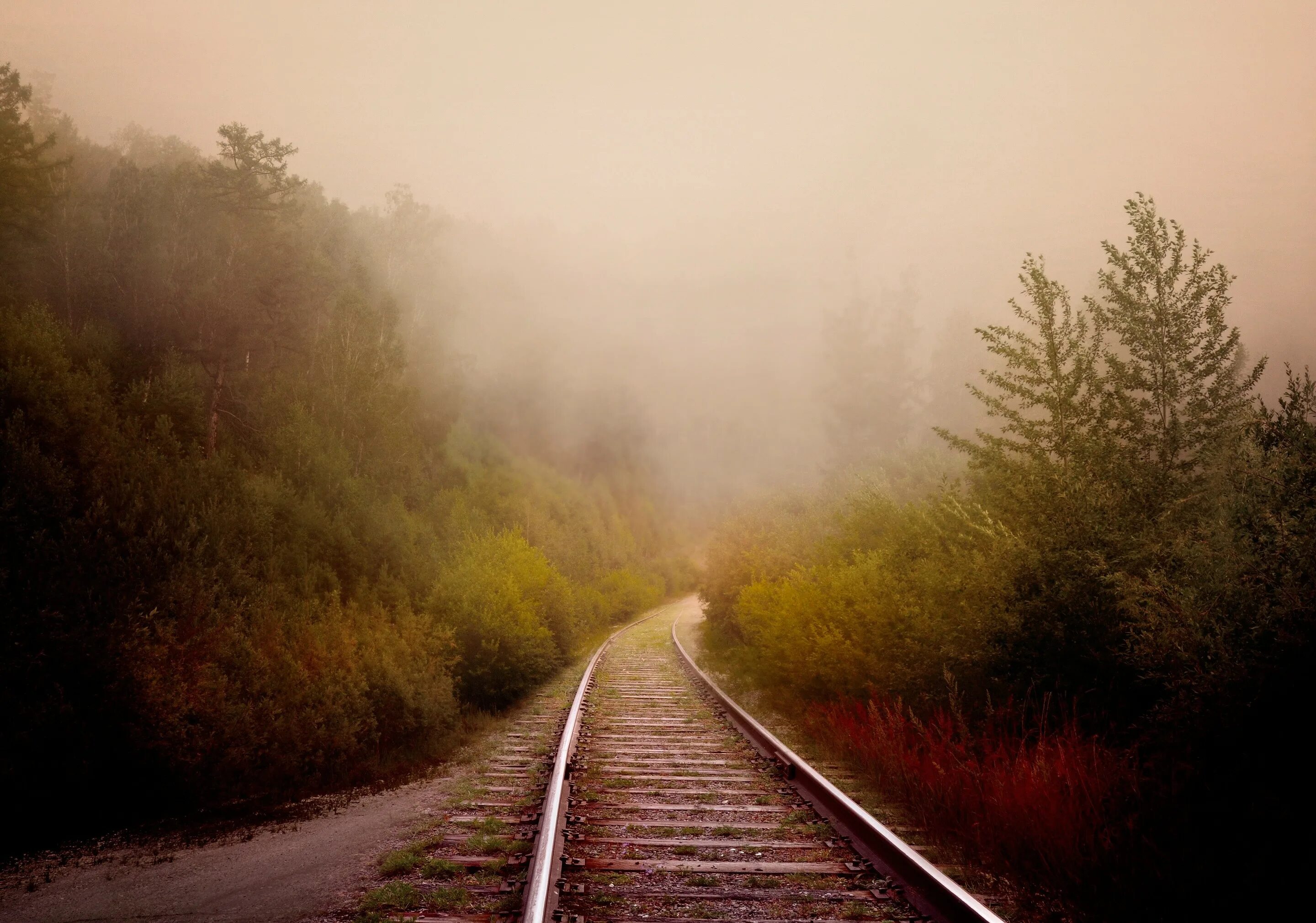 Уходящая железная дорога. Железная дорога в даль. Дорога в тумане. Рельсы в тумане. Поезд в тумане.