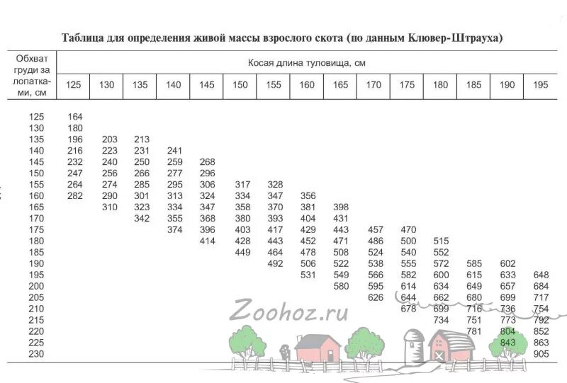 Таблица быков живой. Таблица измерения живого веса телят. Таблица определения живого веса крупного рогатого скота. Таблица Клювер-Штрауха для определения. Таблица обмеров КРС для определения живого веса.