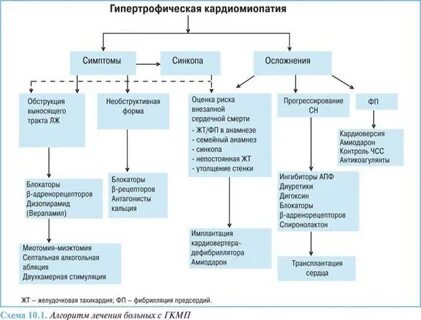 Тест гипертрофическая кардиомиопатия клинические рекомендации