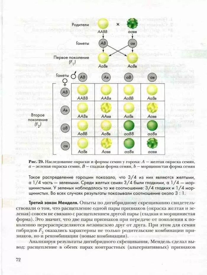 Учебник по биологии 9 класс Пономарева Корнилова Чернова. Биология 9 класс учебник Пономарева 2019. Биология 9 класс Пономарева Корнилова Чернова 2019. Дигибридное скрещивание. Учебник по биологии 9 класс пономарева читать