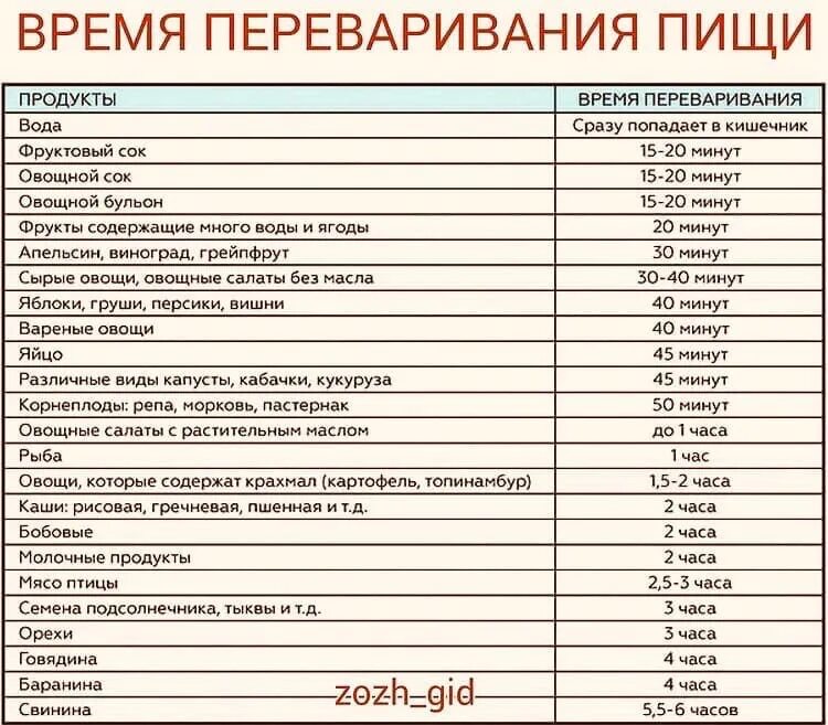 Переваривается ли помидор
