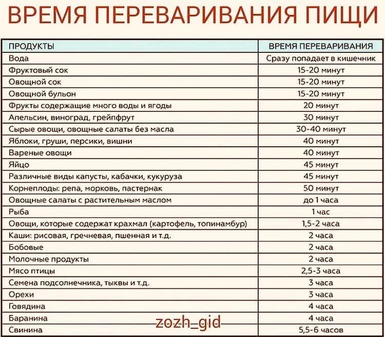 Сколько переваривается капуста. Что долго переваривается. Сколько переваривается пища. Сколько времени перевариваются продукты. Время переваривания пищи таблица.