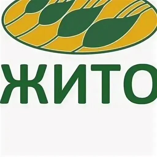 ООО жито Тольятти. ООО ТД жито. Ооо жито