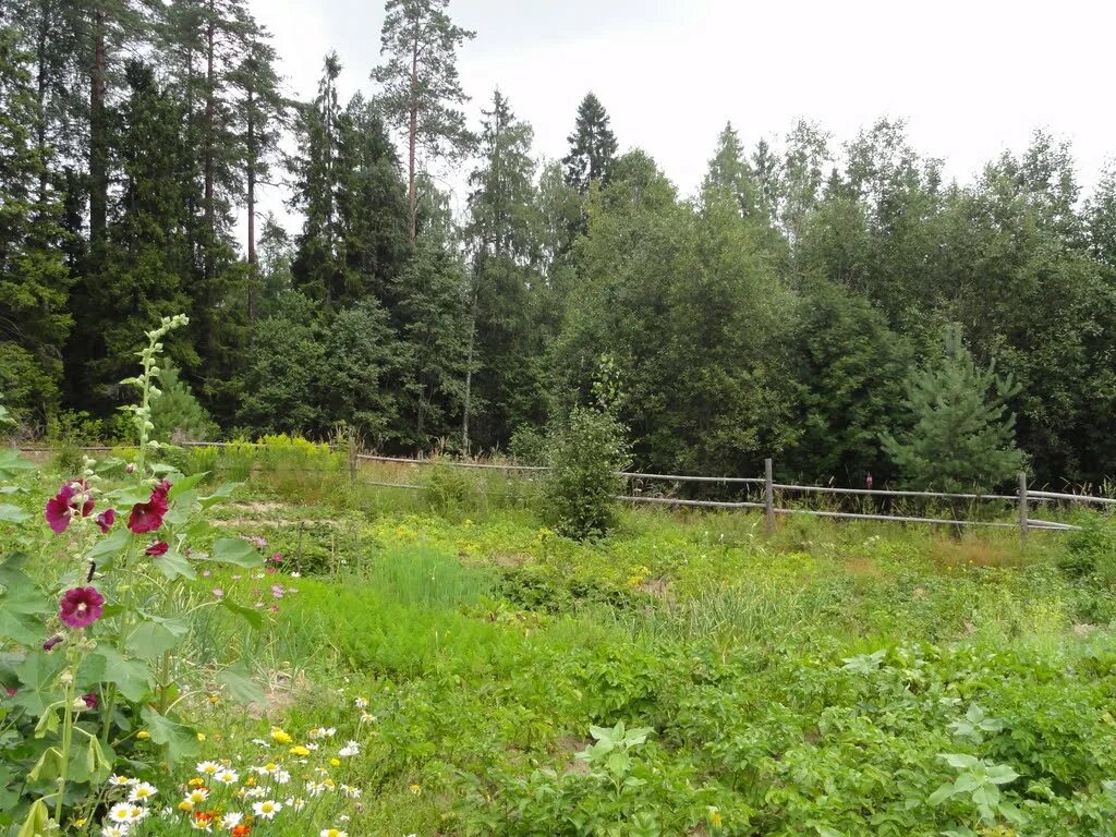 Станция Деревянка Карелия. Огородничество в Карелии. Карелия Республика, Прионежский район, поселок Деревянка. Деревянка Карелия фото.