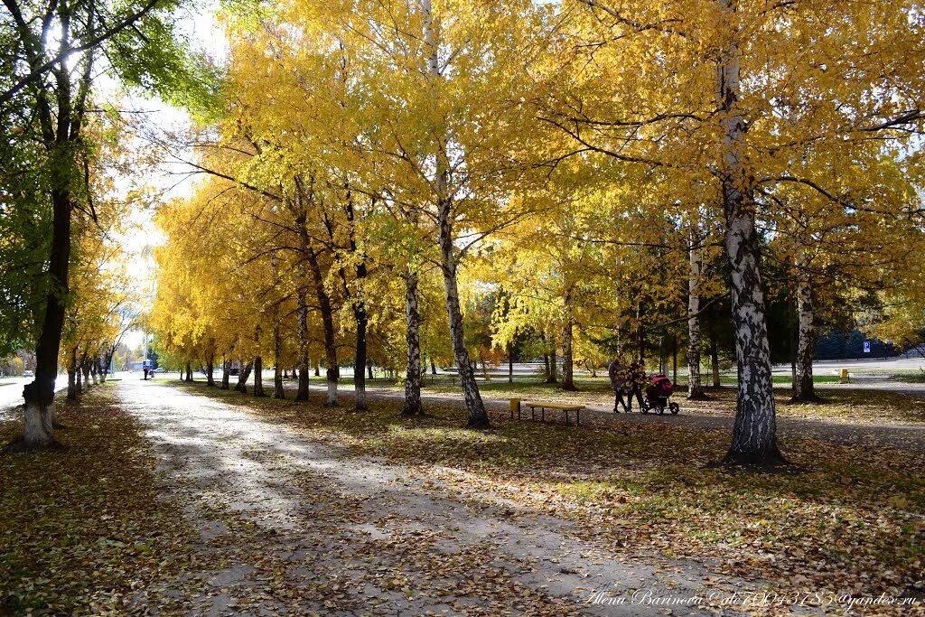 село отрадное самарская область. отрадное самарская область. город отрадный самарская область. лет отрадный.