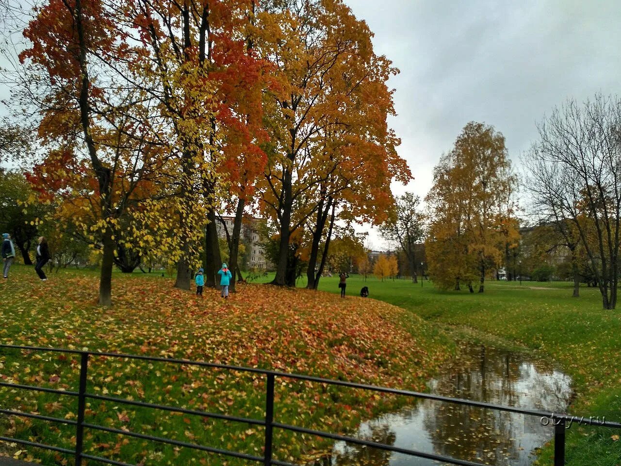 Куракина дача санкт петербург. Куракина дача санкт петербург. Парк куракина дача летом. Куракина дача парк в санкт-петербурге. Парк дачная.