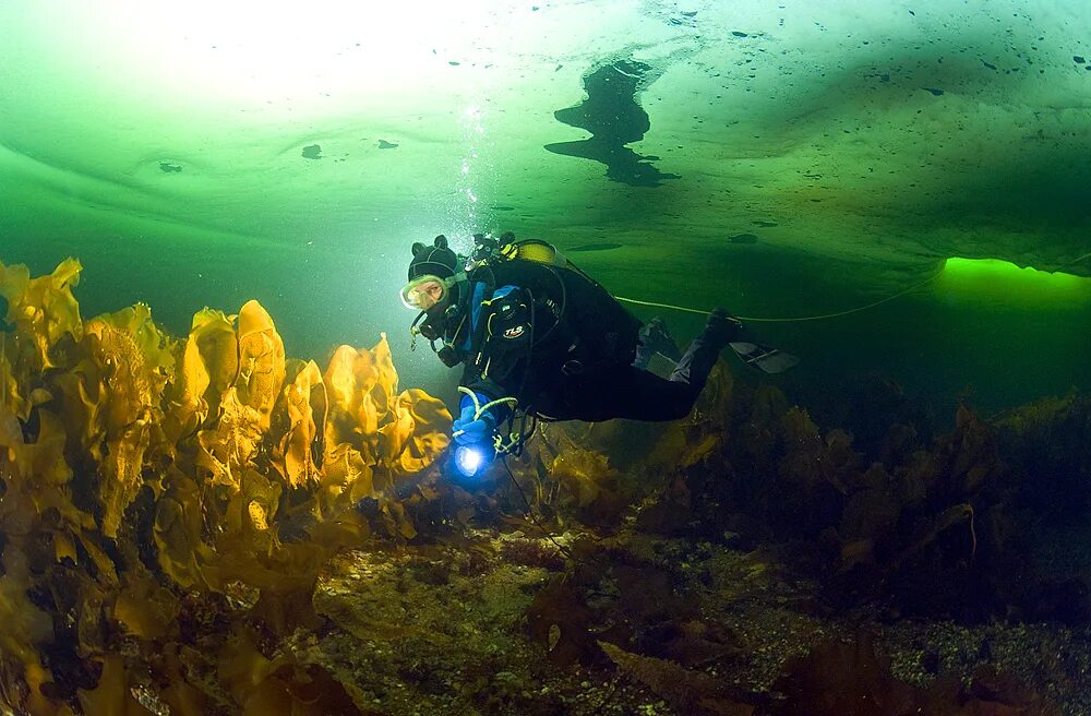 Подводный хоккей подо льдом. Подо. Мой верный конь. Челлендж со льдом прикол. Сделай подо.