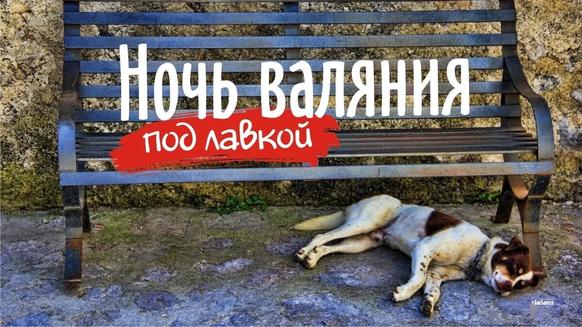 Ночь валяния под лавкой 15