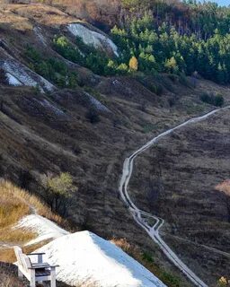 Белгород корень