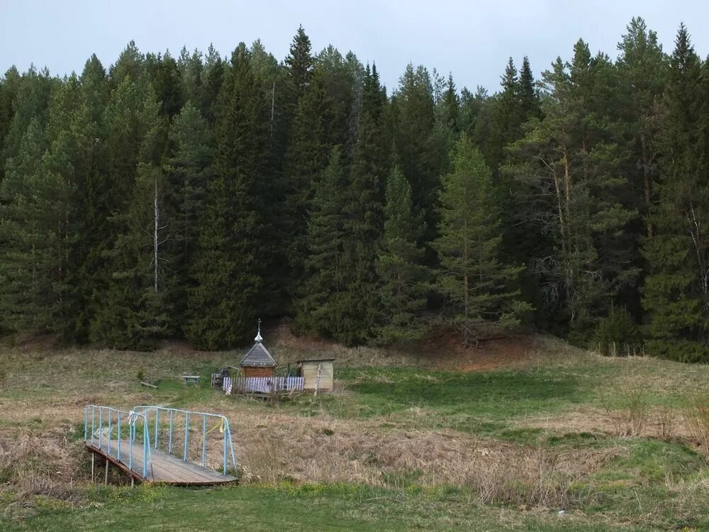 Погода петропавловск пермский край. С Тойкино Большесосновский район Пермский край. Полозово Пермский край. Родник «трёхрукавный» у села Петропавловск Большесосновский район. Село Тойкино Большесосновский район Пермский край.