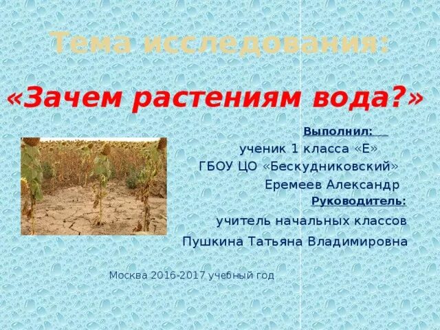 Зачем растениям вода. Зачем растениям нужна вода. Почему растениям нужна вода. Зачем растениям нужна вода 2 класс.