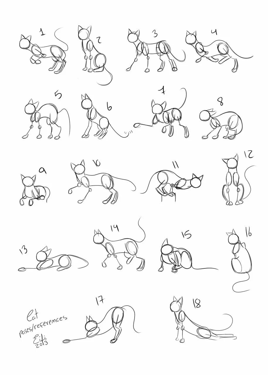 Cats tutorials