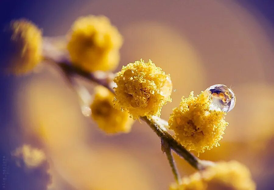 солнечного весеннего дня картинки. солнечного весеннего дня картинки. солнечного весеннего дня картинки. солнечный день. солнечный весенний день.