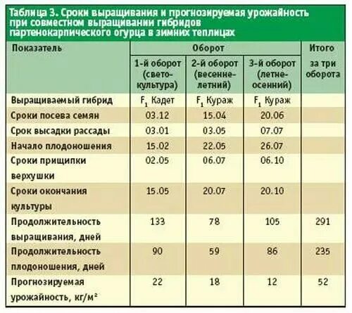 Световой день для перца. Температурный режим для рассады огурцов в теплице. Температура при выращивании огурцов в теплице. Температура высадки огурцов в открытый грунт. Температурный режим при выращивании рассады.