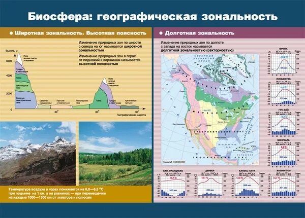 Широтная и Высотная поясность. Географическая зональность и поясность. Широтная зональность и Высотная поясность. Природные зоны Широтная зональность и Высотная поясность.