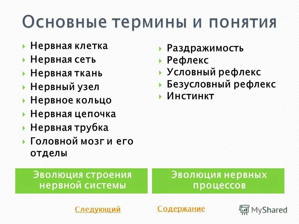 Вы нервный человек да нет. Нервный 7 букв. Вы нервный человек да нет. Структура серого вещества спинного мозга обозначенные. Нервный 7 букв.