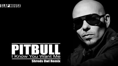 Pitbull i want