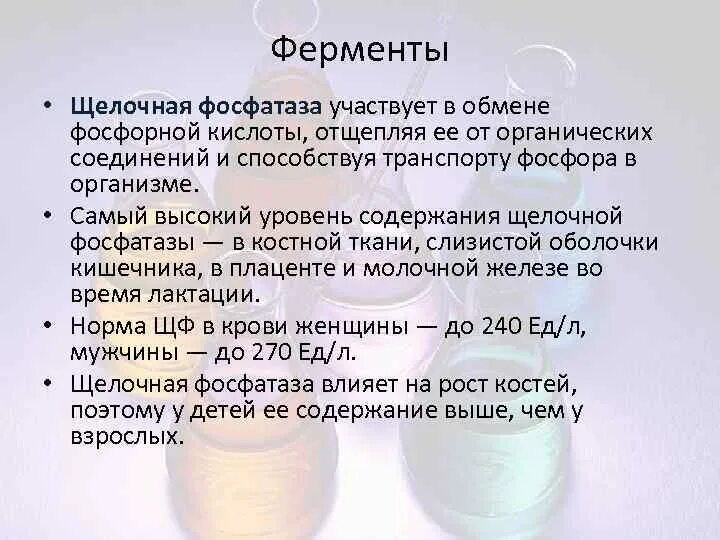 Фосфатаза повышена в крови у женщин. Щелочная фосфатаза в крови повышена. Повышена щелочная фосфатаза в крови у женщины причины. Повышение уровня щелочной фосфатазы в крови причины. Повышение фосфора, щелочной фосфатазы.