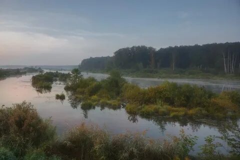 Лосиный остров ландшафт