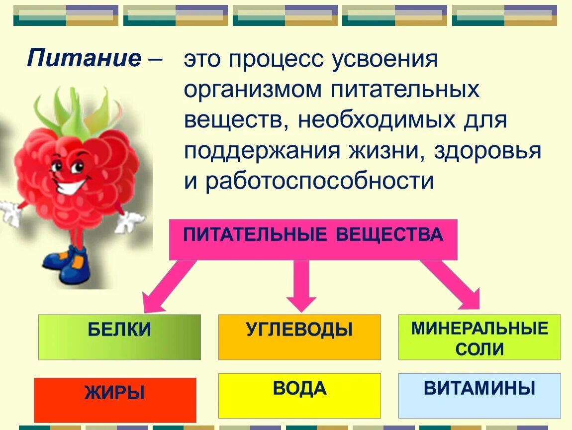 Условие необходимое для поддержания жизни. Питание это процесс. Питательные вещества презентация. Питательные вещества необходимые организму человека. Процесс усвоения организмом питательных веществ.