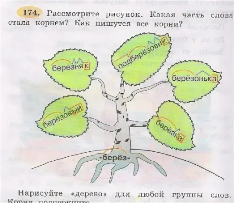 Рассмотри группы слов. Дерево с однокоренными словами. Нарисуй дерево с однокоренными словами 3 класс. Дерево с однокоренными словами рисунок. Рисунок с однокоренными словами.