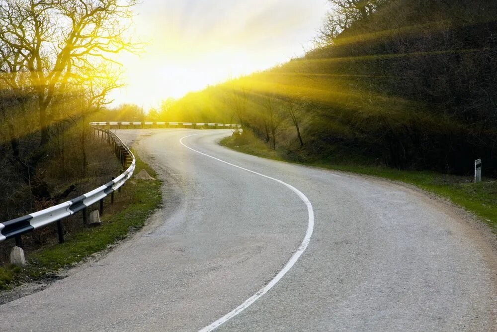 Красивый поворот песня. Группа гитлер архангельск. Форкс штат вашингтон природа. Красивый поворот песня. Красивый поворот песня.