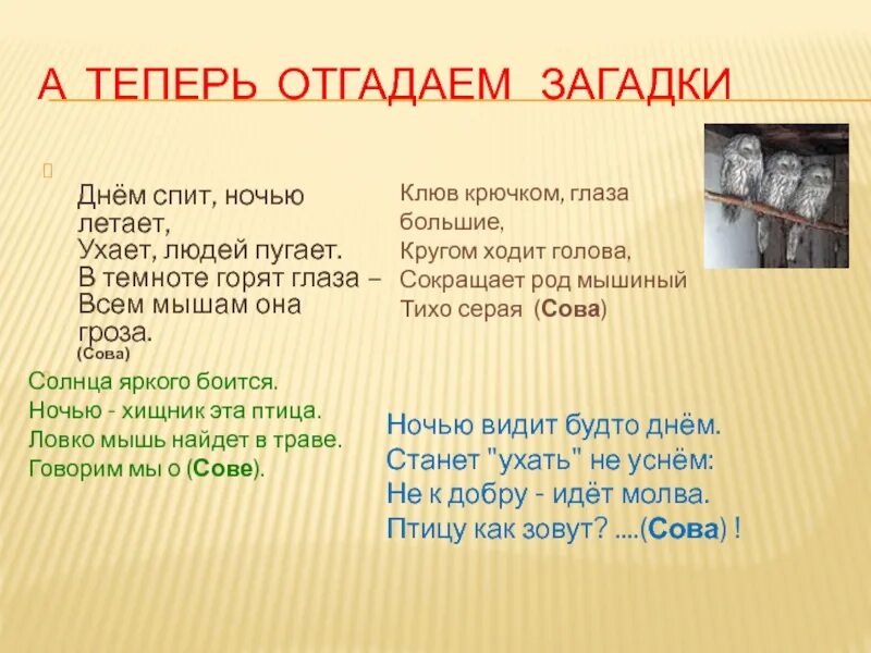 Отгадай загадку день и ночь. Загадка про календарь. Загадки про ночь интересные. Загадка про день и ночь.